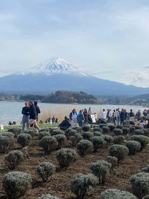 obrázek č.15 aktivity Z Tokia: Celodenní soukromá prohlídka hory Fuji s možností přizpůsobení v destinaci Hakone, nahraný poskytovatelem aktivity