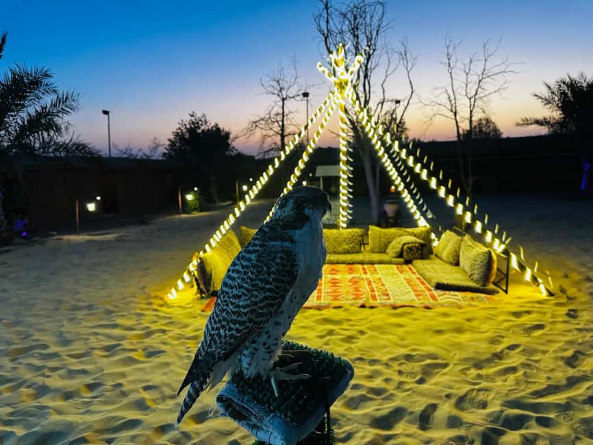 image n.9 of Abu Dhabi: Stopover Desert Tour, Camel Ride & Sandboarding activity in Abu Dhabi, uploaded by supplier