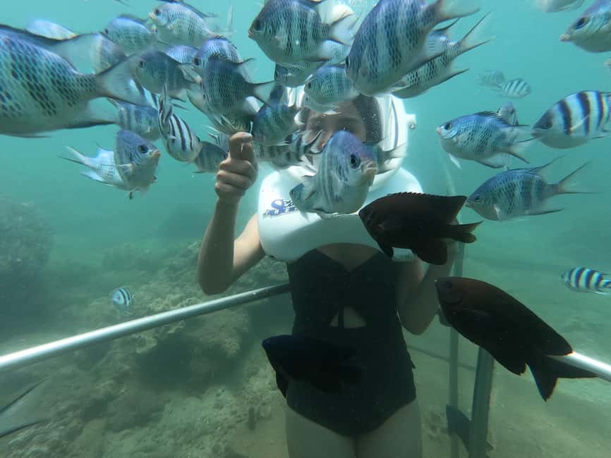 image n.13 of Cham Island: Underwater Walking & Snorkeling Tour activity in Hoi An, uploaded by supplier
