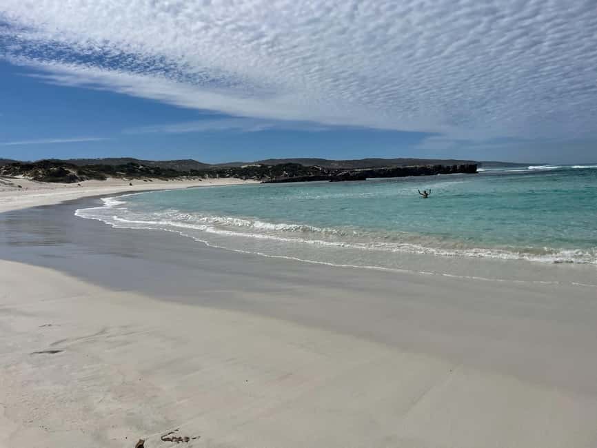 imagen n.º 36 de Desde Adelaida: Kangaroo Island Tour en grupo reducido de 2 días actividad en Australia Meridional, subida por el proveedor