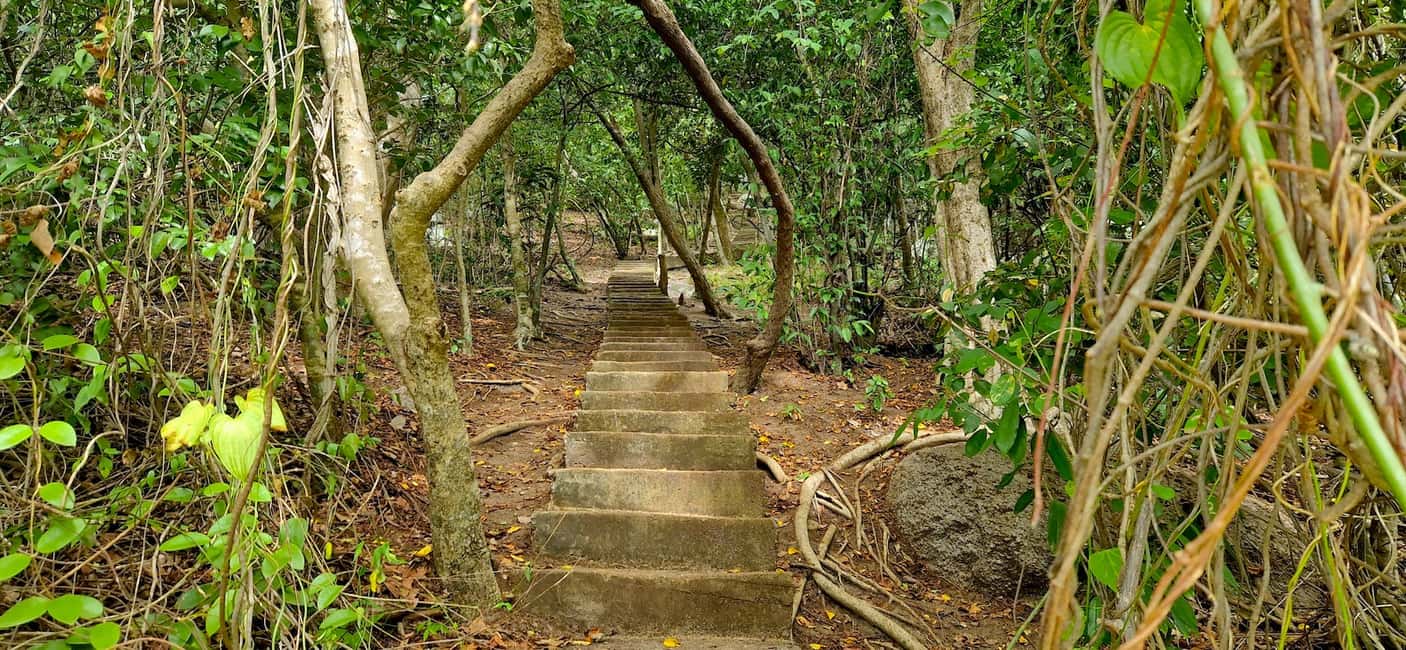 image n.21 of Koh Tao: Private Longtail Snorkel Tour with Nang Yuan Visit activity in Ko Tao, uploaded by supplier