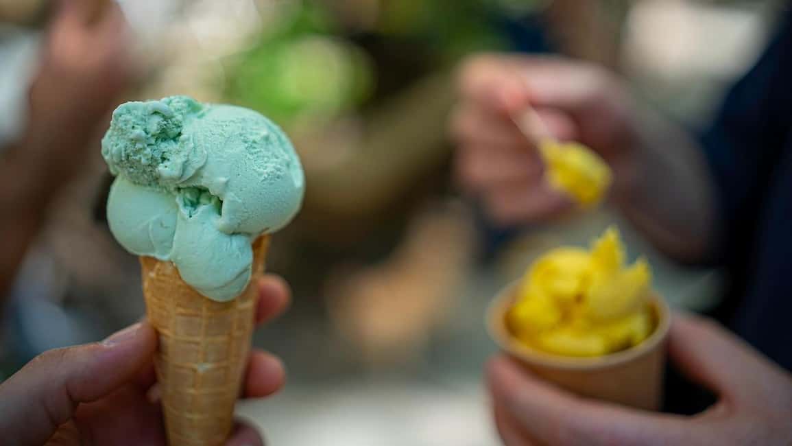 image n.11 of Berlin: Guided Street Food & Cultural Walking Tour activity in Berlin, uploaded by supplier