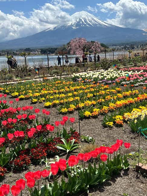 obrázek č.8 aktivity Z Tokia/Jokohamy: Fudži a Hakone Soukromý celodenní výlet v destinaci Hakone, nahraný poskytovatelem aktivity