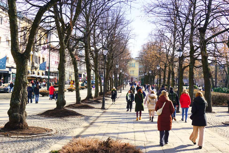 Immagine nº 5 di Tour di Oslo: storia, arte e segreti attività a Oslo, caricata dal fornitore