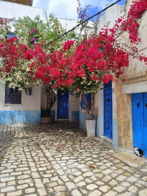 image n.9 of North Africa Tour : Utica-Bizerte-Ichkeul Park(UNESCO) activity in Kairouan, uploaded by supplier