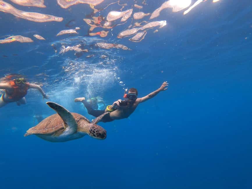 image n.2 of Tenerife: Kayak & Snorkel Tour with Snacks & Sea Life Safari activity in Telde, uploaded by supplier