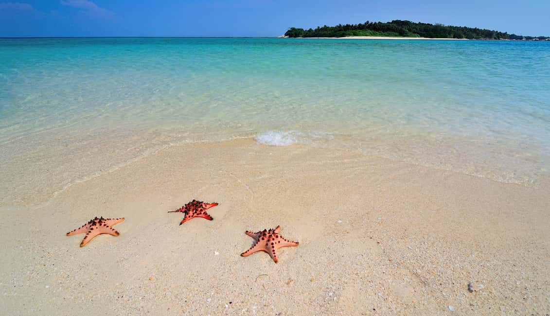 image n.1 of LITTLE BORACAY- CALATAGAN BATANGAS DAY TOUR (FROM MANILA) activity in Manila, uploaded by supplier