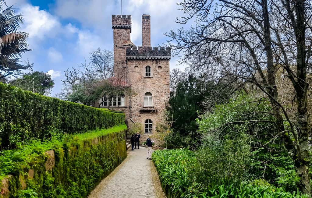 billede nr.17 af aktiviteten Lissabon: Sintra, Pena Palace, Quinta Regaleira, Cascais Tour i Colares, uploadet af udbyder