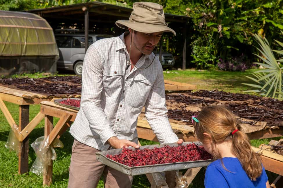 image n.5 of Manuel Antonio Villa Vanilla spice tour activity in Puntarenas Province, uploaded by supplier