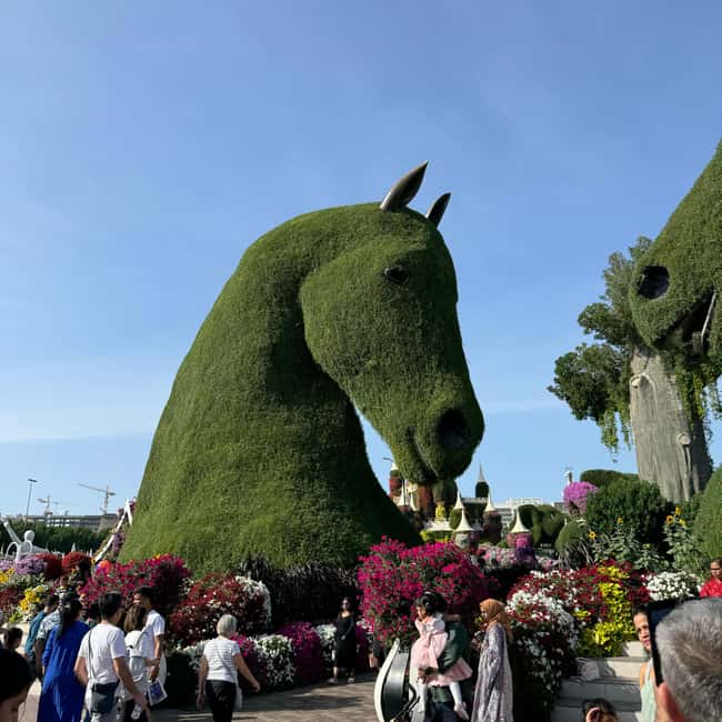 image n.11 of Dubai: Miracle Garden Ticket With Transfer activity in Dubai, uploaded by supplier