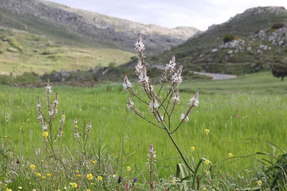 Immagine nº 14 di Creta meridionale: tour naturalistico alla scoperta di villaggi panoramici, gole e laghi attività a Creta, caricata dal fornitore