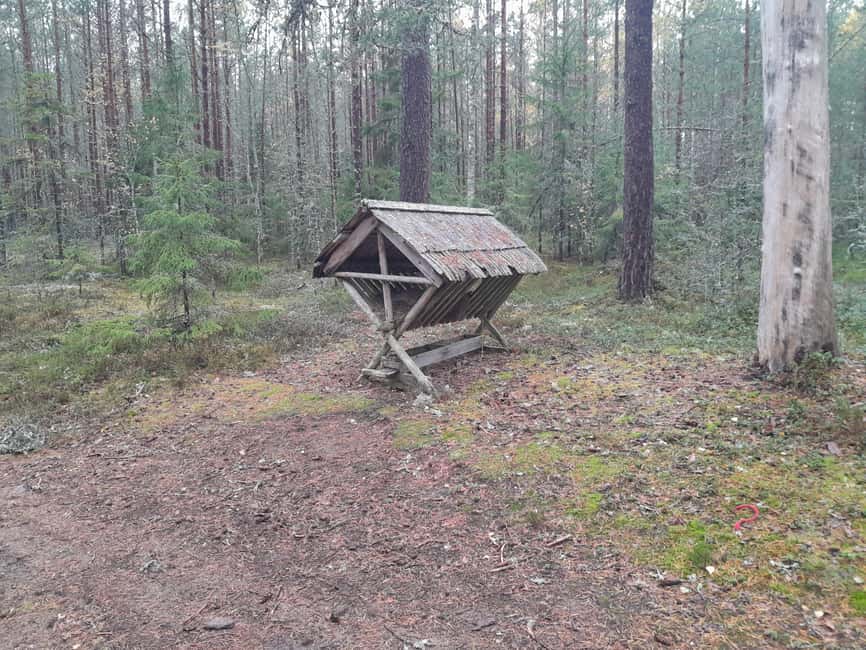 Obraz nr 3 z atrakcji Autentyczna wycieczka jednodniowa Lahemaa Carmen reisid w Harjumaa, przesłany przez organizatora
