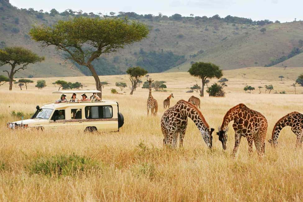 image n.14 of 6-Day kenya safari to Amboseli and Tsavo west & East. activity in Coast Province, uploaded by supplier
