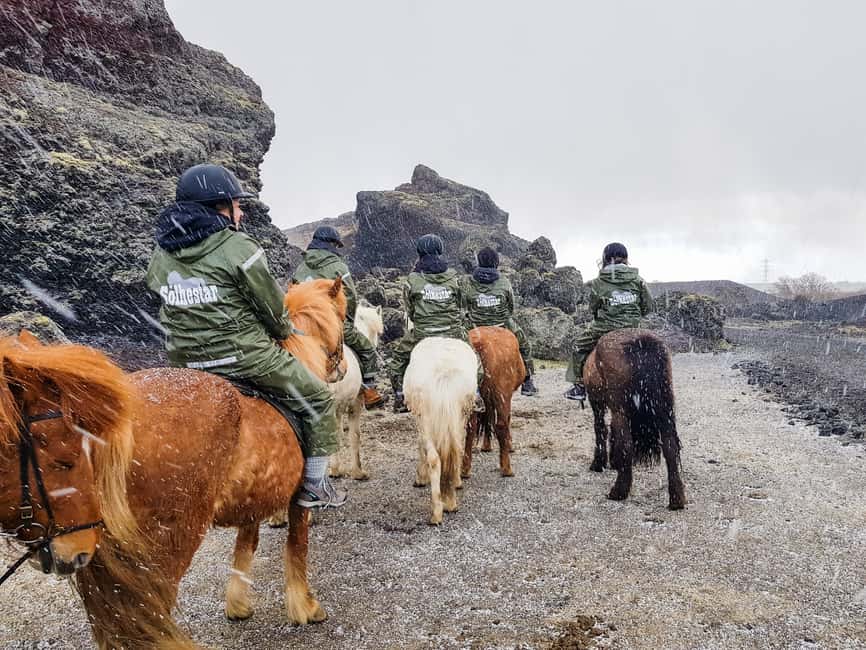 imagen n.º 7 de Reikiavik: Excursión a Caballo por la Lava Roja actividad en Reikiavik, subida por el proveedor