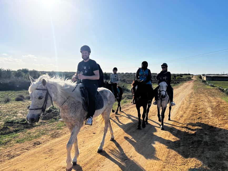 Image N°9 de Sousse/Monastir : excursion privée à cheval avec transfert activité à Monastir, publiée par le prestataire