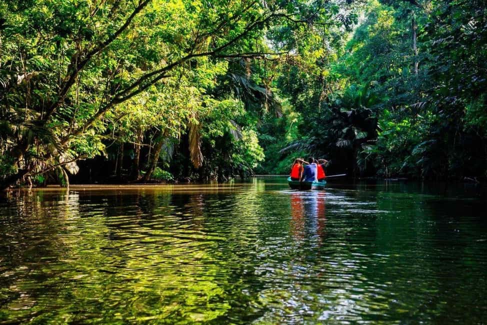 image n.4 of Tortuguero: Guided Tours and Hikes activity in Limón Province, uploaded by supplier