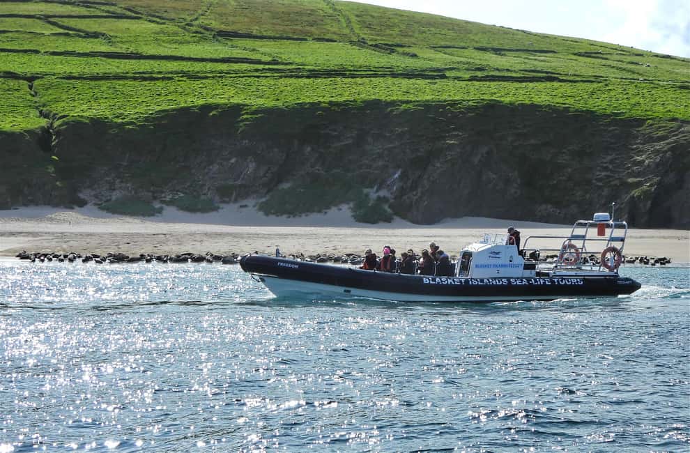 Obraz nr 1 z atrakcji Dingle: Wonders of Blasket Islands Sea Life Wycieczkowy rejs łodzią w Munster, przesłany przez organizatora