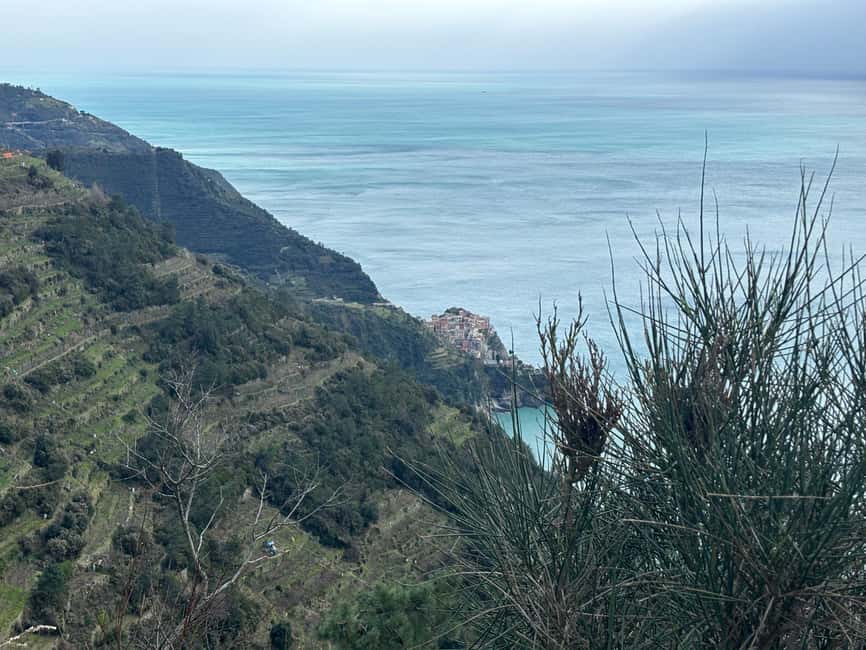 bild nr.12 av Cinque Terre: Privat dagsutflykt från Florens aktivitet i Florens, uppladdad av arrangören
