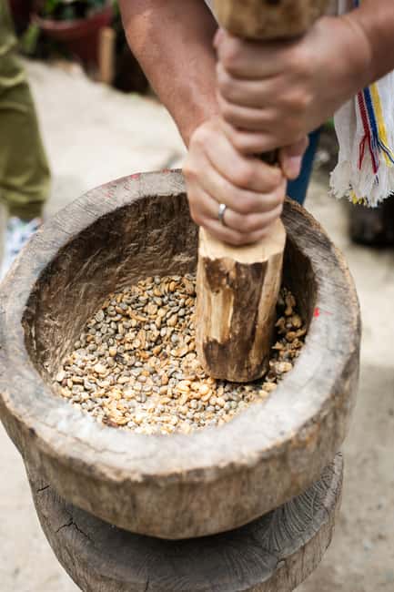 imagem n.40 de Medellín: Tour do café, chegada a cavalo e cana-de-açúcar atividade em Medellín, carregada pelo fornecedor