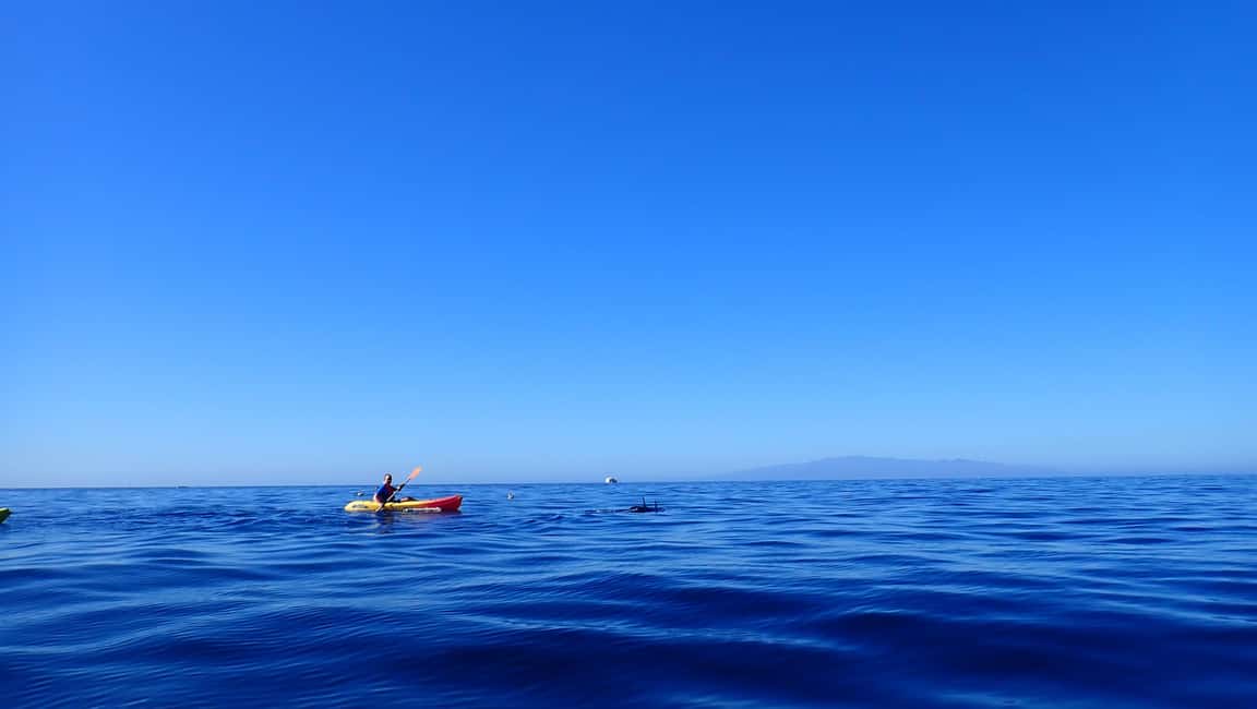 image n.13 of Tenerife: Kayak and Snorkel with Turtles with Free Videos activity in Los Cristianos, uploaded by supplier