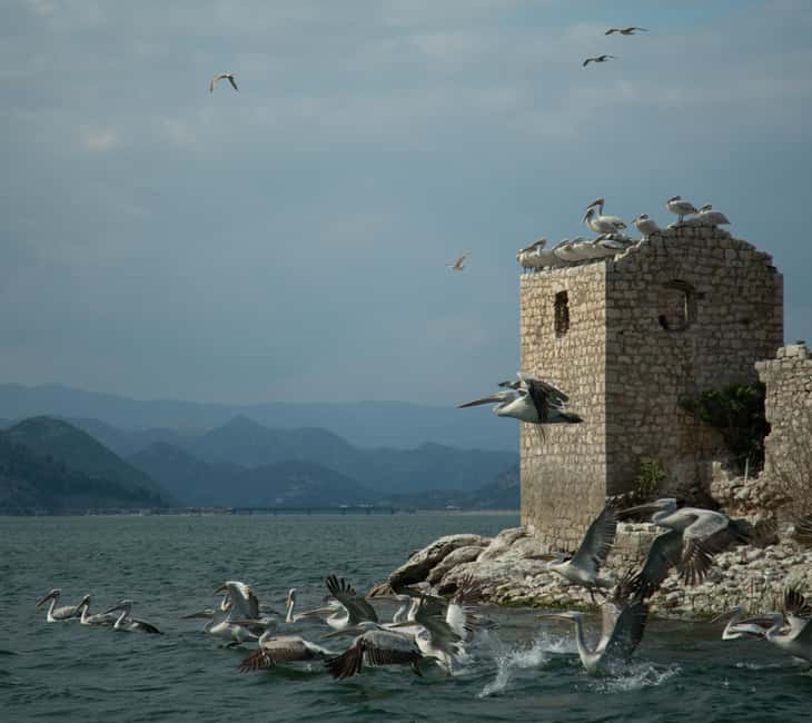 image n.10 of Skadar Lake: Individual Kayaking Experience activity in Podgorica Municipality, uploaded by supplier