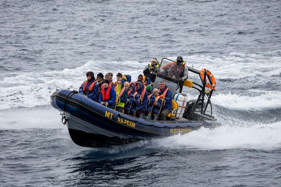 image n.11 of São Miguel: Whale-Watching Cruise with Marine Biologist activity in Ponta Delgada, uploaded by supplier