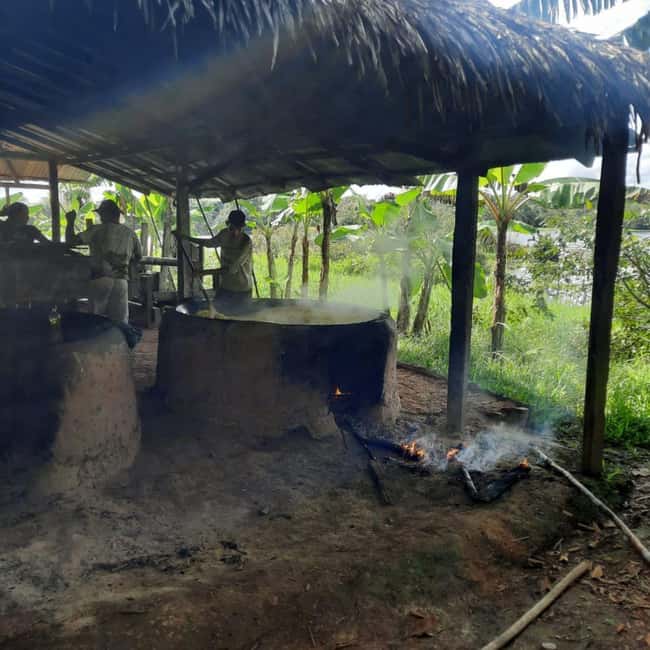 imagen n.º 6 de Manaos: 2, 3 ó 4 días en la Experiencia Supervivencia Amazónica actividad en Manaos, subida por el proveedor