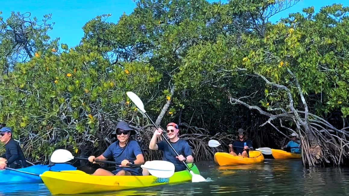 image n.3 of Noosa Heads: Hidden Waterways Wildlife Kayak (Fully Guided) activity in Noosaville, uploaded by supplier