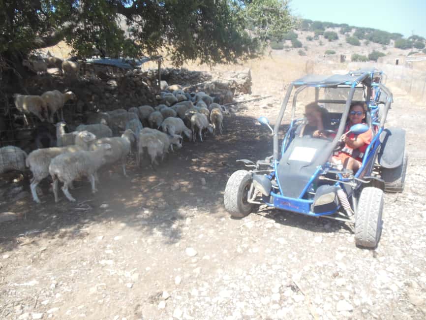 image n.6 of Buggy safari Crete (Transfer and lunch) analipsi- hersonisos activity in Neapolis, Crete, uploaded by supplier