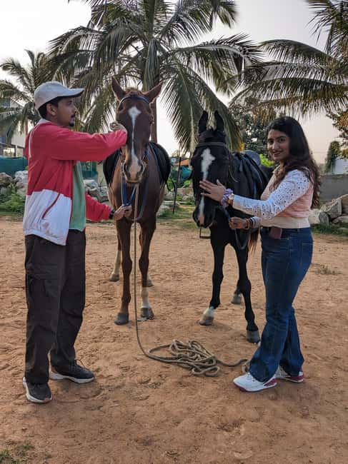 image n.3 of Bangalore: Horse Riding Safari Tour activity in Bangalore, uploaded by supplier