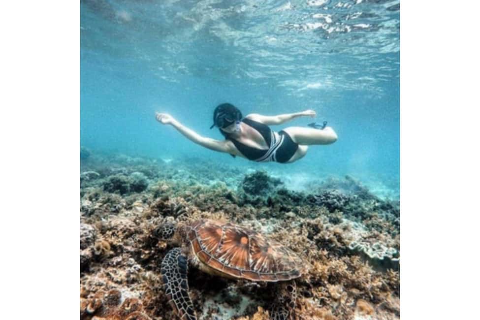 image n.6 of Moalboal : Scuba Diving Sardine Run and Turtle Chasing activity in Moalboal, uploaded by supplier