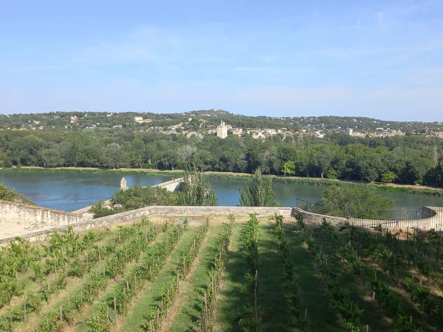imagem n.8 de Avignon: Excursão a pé pela cidade com entrada no Palácio dos Papas atividade em Avignon, carregada pelo fornecedor