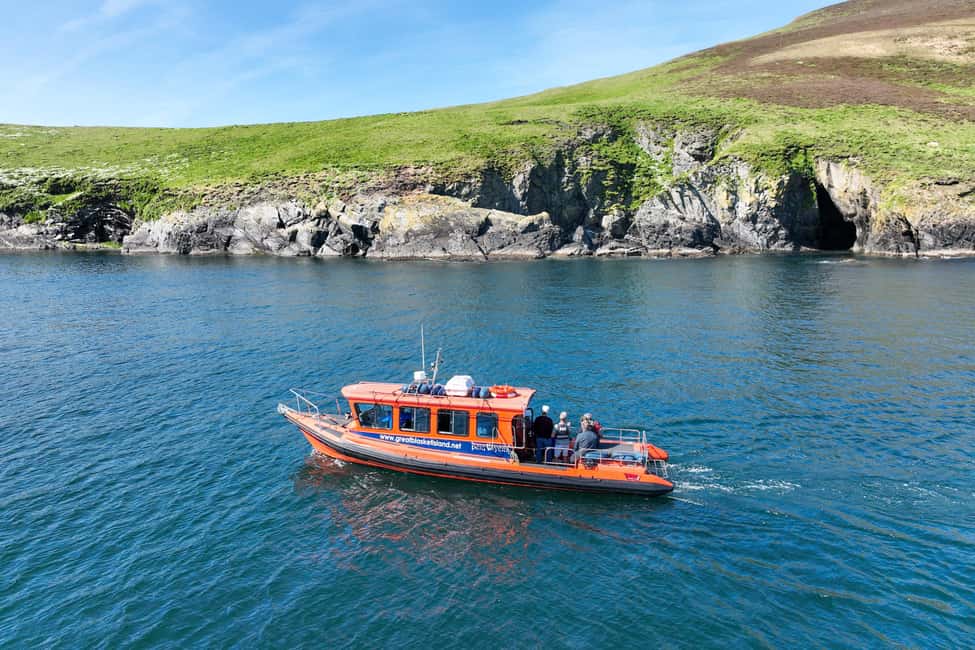 Obraz nr 8 z atrakcji Wycieczka Great Blasket Island Wildlife Tour z Island Landing w Munster, przesłany przez organizatora