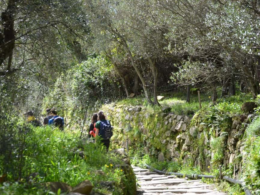 image n.6 of Cinque Terre: Eco Hiking and Wine Tasting activity in Corniglia, uploaded by supplier