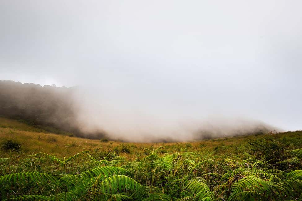 image n.11 of Chiang Mai: Doi Inthanon Trip with Pha Dok Siew Guided Trek activity in Chiang Mai, uploaded by supplier