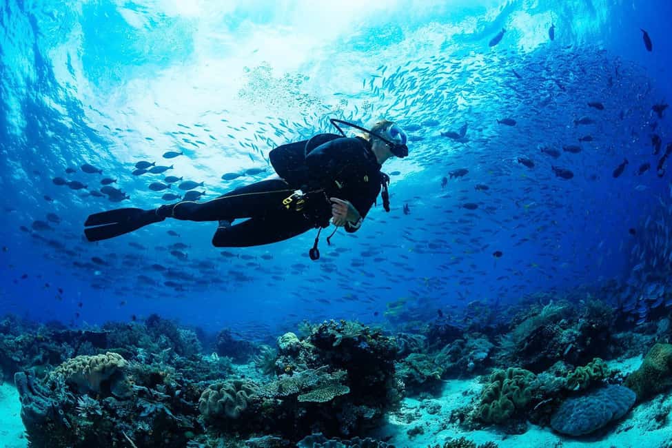 Kemer içindeki Antalya/Kemer: 2 Dalış ve Öğle Yemeği Dahil Scuba Dalış Deneyimi etkinliğinin tedarikçi tarafından yüklenen 7 no'lu görseli