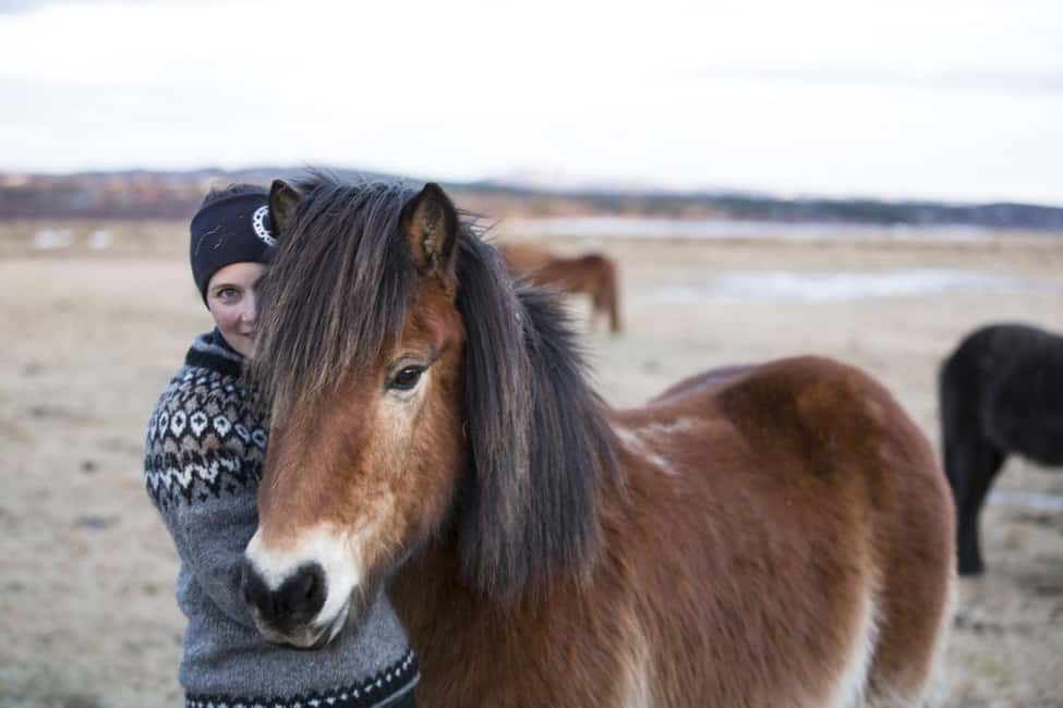 imagen n.º 5 de Hveragerdi: Excursión a Caballo con Encanto Rural actividad en Hveragerði, subida por el proveedor