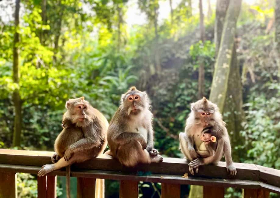 image n.7 of Bali: Customized Private Car Charter with Optional Guide activity in Ubud, uploaded by supplier