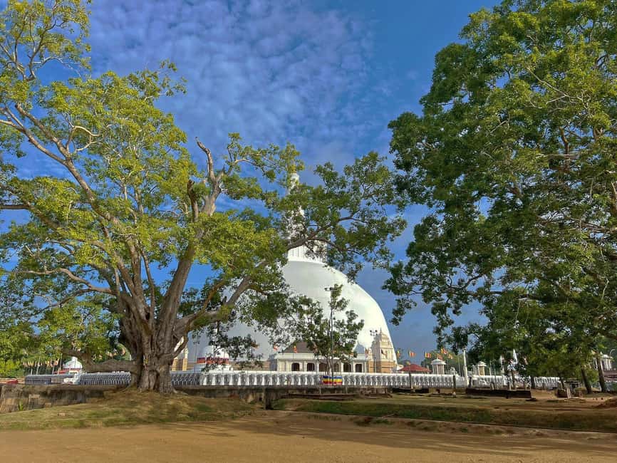 image n.2 of Anuradhapura Private Ancient City Day Tour activity in Anuradhapura, uploaded by supplier