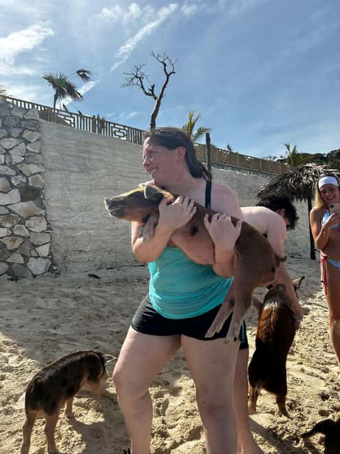 image n.45 of Nassau: 3 Islands Tour, Snorkel, Pig Beach, Turtles & Lunch activity in Berry Islands, uploaded by supplier