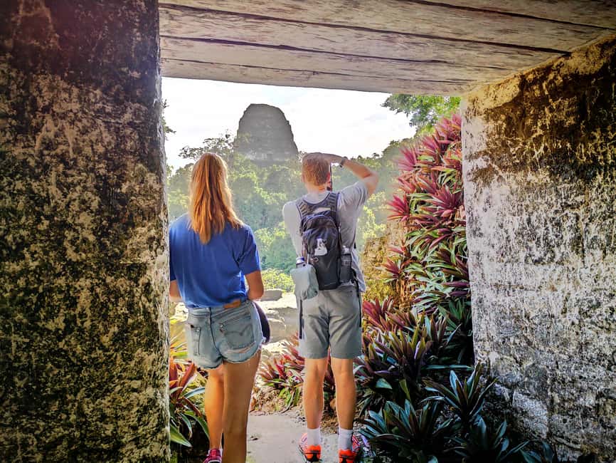 image n.2 of Tikal Sunrise, Archeological focus and Wildlife Spotting activity in Flores, Guatemala, uploaded by supplier
