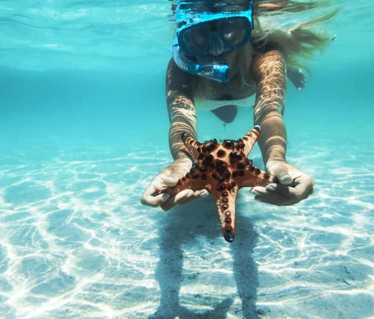 imagem n.12 de Cartagena: 6 paragens nas Ilhas Rosário, Oceanário, almoço e mergulho com snorkel atividade em Cartagena, carregada pelo fornecedor