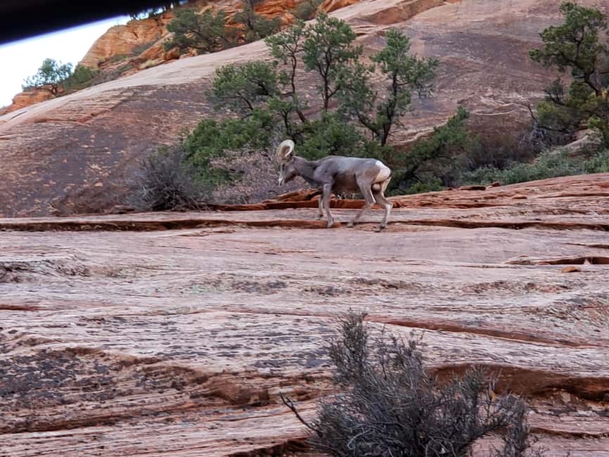 image n.27 of Small Group Tour Zion & Bryce Canyon National from Las Vegas activity in Utah, uploaded by supplier