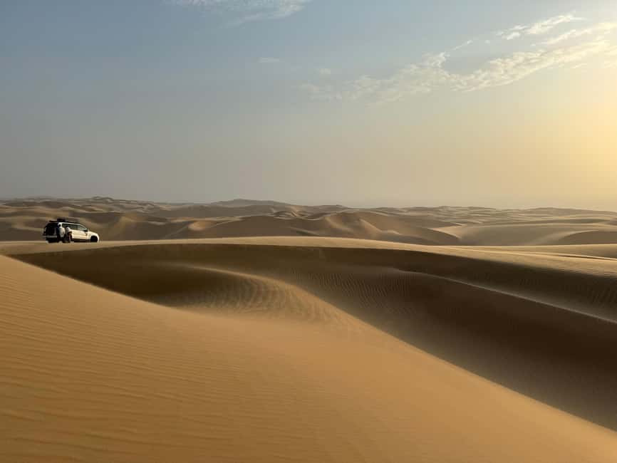 image n.48 of Walvisbay: Sandwich Harbour 4x4 Tour-Unparalleled Experience activity in Erongo, uploaded by supplier