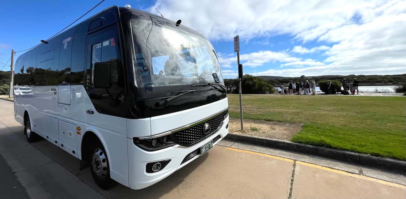 imagem n.7 de Melbourne: Excursão épica pela Great Ocean Road com pontos turísticos imperdíveis atividade em Melbourne, carregada pelo fornecedor