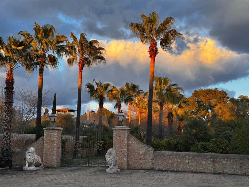 bild nr.11 av Weinsonntag på Mallorca aktivitet i Balearerna, uppladdad av arrangören
