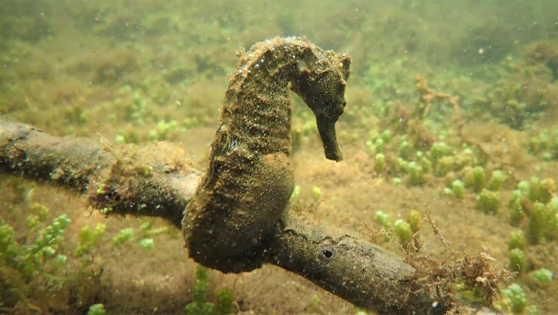 image n.6 of Galapagos: Tour Island Hopping 7 days - 6 nights activity in Galápagos Islands, uploaded by supplier