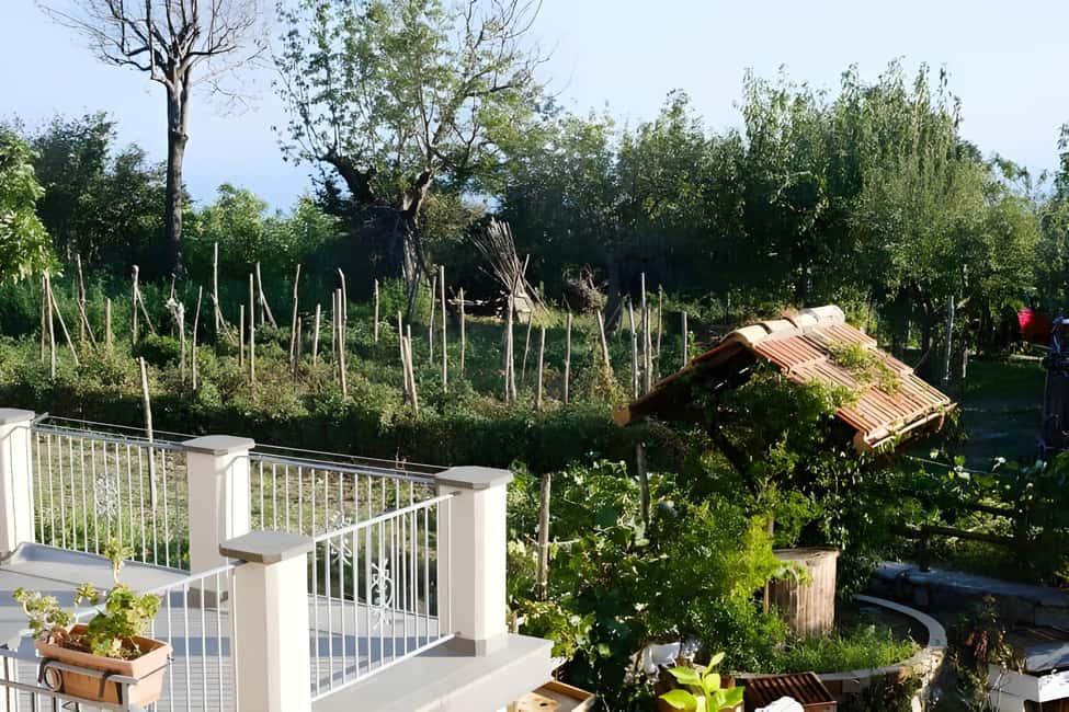 image n.21 of Amalfi: Milk the cows, Make Pasta, Mozzarella and Tiramisù! activity in Furore, uploaded by supplier