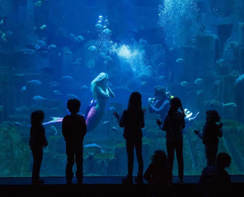 Image N°11 de Paris : Explorer Pass avec 3, 4, 5, 6 ou 7 attractions activité à Senlis, publiée par le prestataire
