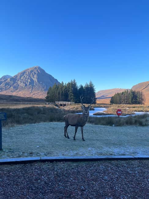 billede nr.3 af aktiviteten Fra Edinburgh: Dagstur til Kelpies, Glencoe og Loch Lomond i Det skotske højland, uploadet af udbyder